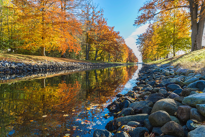 Autumn Scene